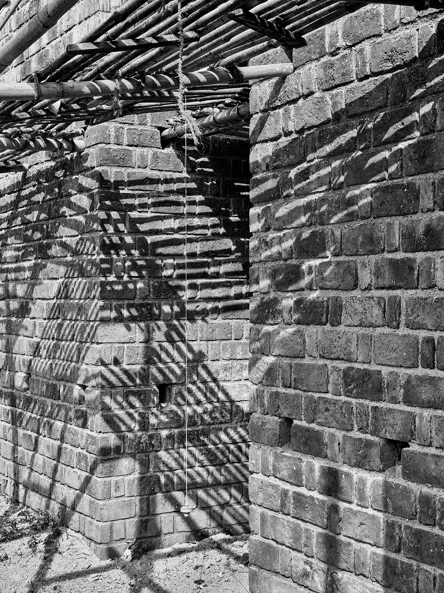 AHPm E15572 AL054003